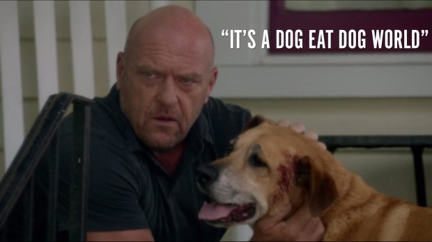 "It's a dog eat dog world."